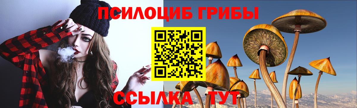 Псилоцибиновые грибы Cubensis  Вход с VPN  Ногинск 